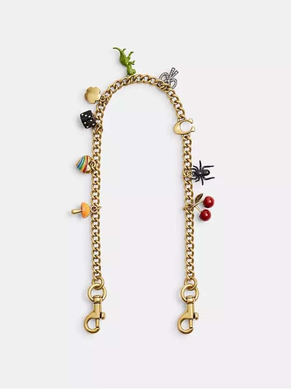 Coach Chain Strap with Charms [Bag Not Include]